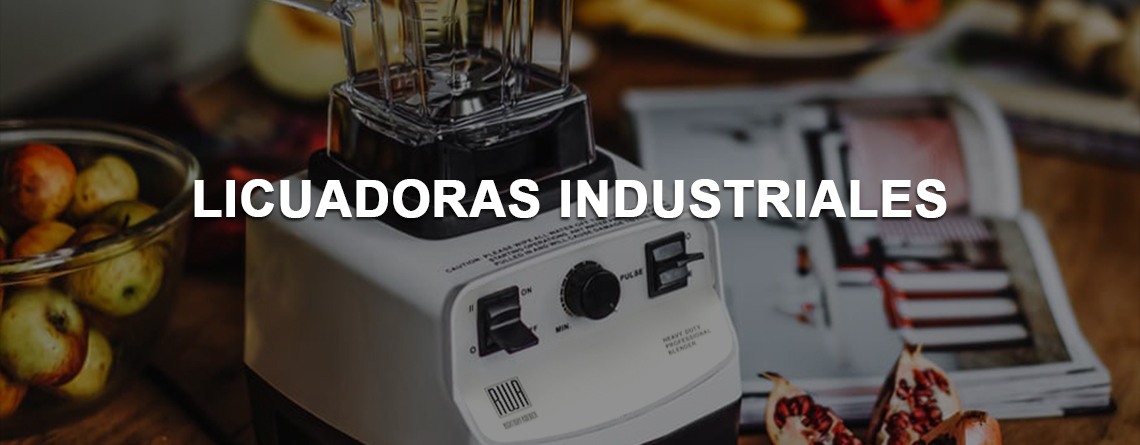 Licuadora Industrial